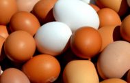 36 тысяч яиц вернули в Россию из-за нарушения ветеринарных требований