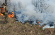 Пожар в Риддере: в полиции начали расследование
