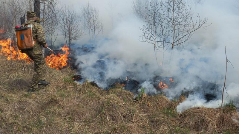 Пожар в Риддере: в полиции начали расследование