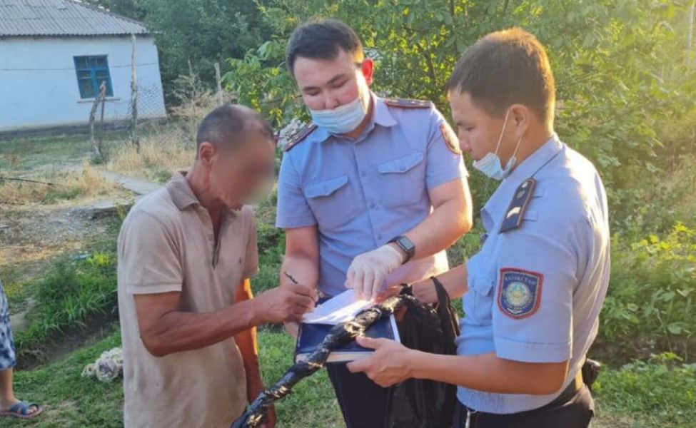 22 куста конопли вырастил житель Туркестанской области у себя во дворе