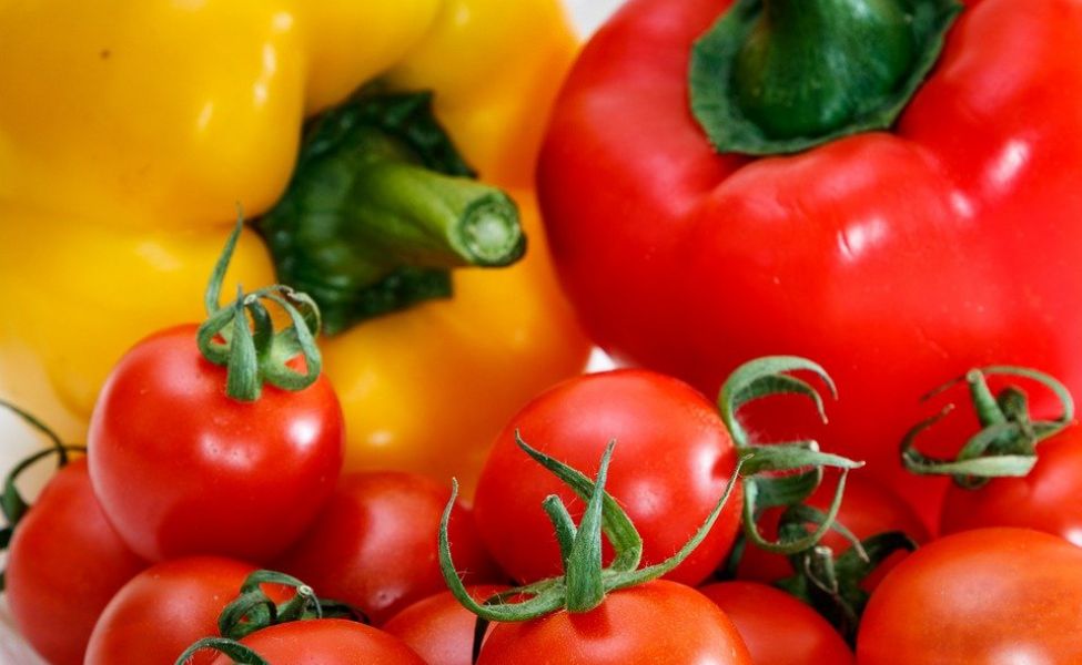 Минсельхоз Казахстана ввел запрет на импорт томатов и перца из Туркменистана