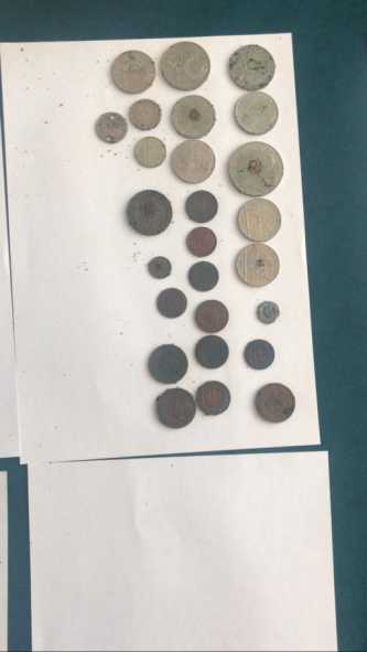 600 старинных монет пытался вывезти из Костанайской области россиянин