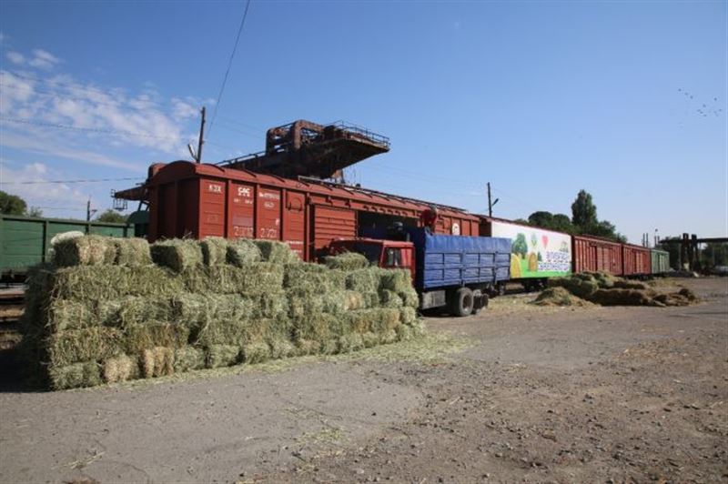 Несколько тонн сена отправлено в Кызылординскую область из Жамбылской