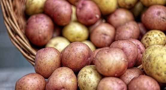 Рост цен был вызван выкупом 20% картофеля россиянами