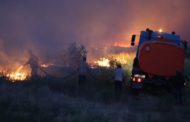 Есть пострадавшие: степные пожары выжгли 3000 га земли в Карагандинской области