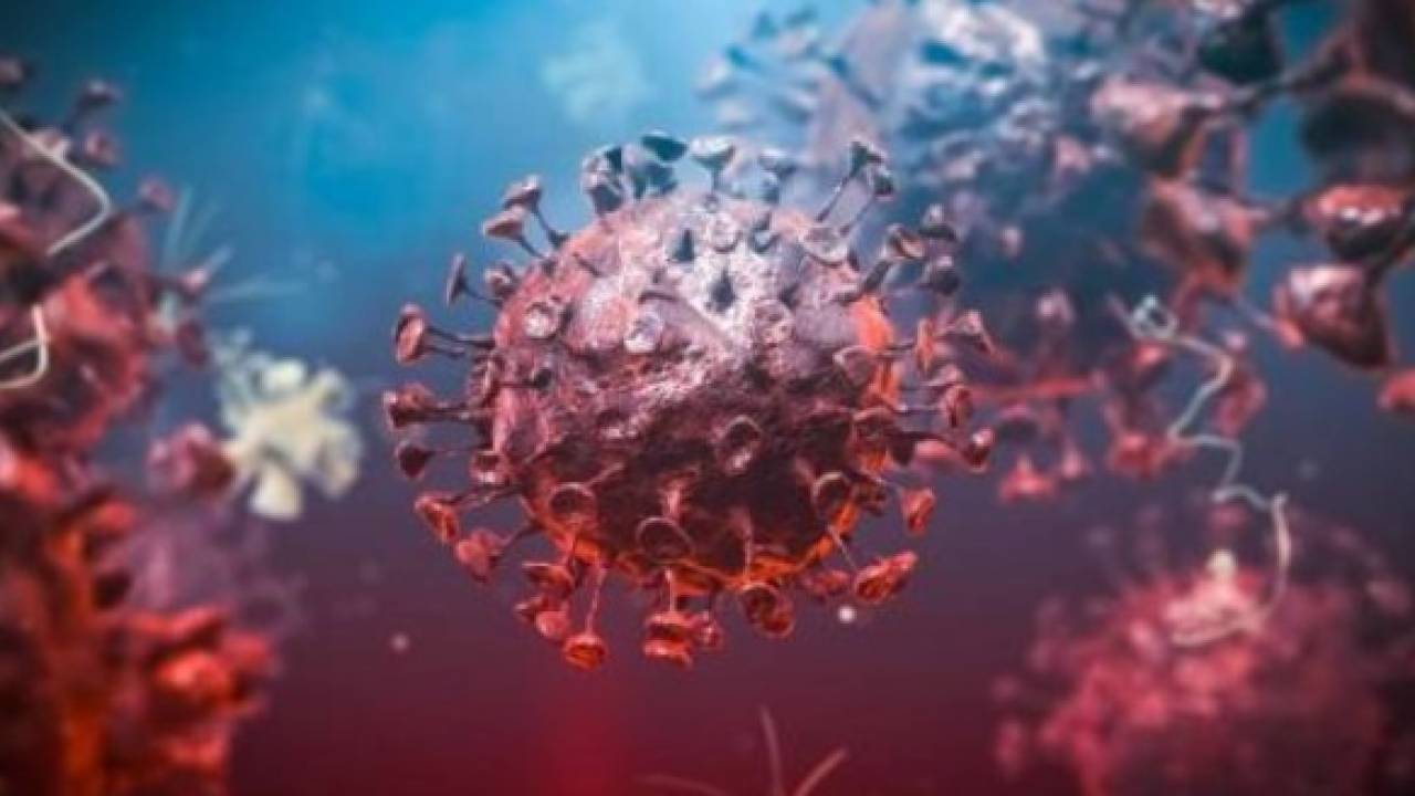 Новый штамм коронавируса выявили в Казахстане