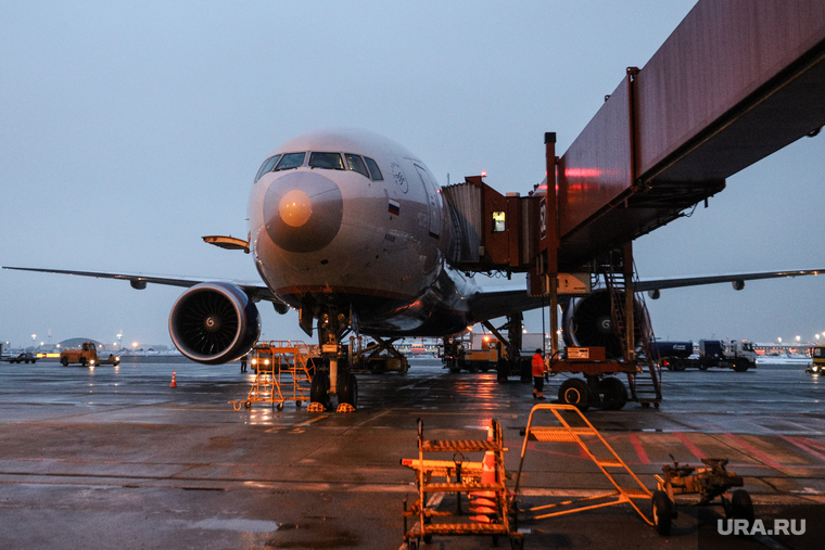 Курганскому аэропорту грозят авиакатастрофы из-за птиц на свалках