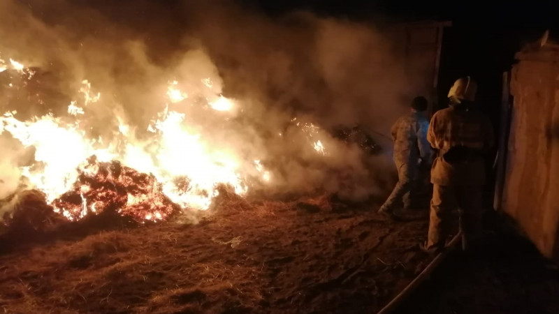 Тела троих детей нашли на месте сгоревшего сена в Атырауской области
