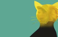 Фильм казахстанского режиссера «Желтая кошка» выдвинут на «Оскар»