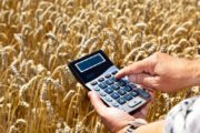 В Казахстане вводится субсидирование стоимости зерна, реализуемого Продкорпорацией