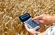 В Казахстане вводится субсидирование стоимости зерна, реализуемого Продкорпорацией
