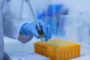 ВОЗ отреагировала на появление нового штамма коронавируса во Франции