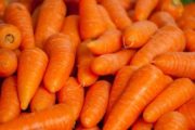 В Казахстане введен запрет на вывоз картофеля и моркови
