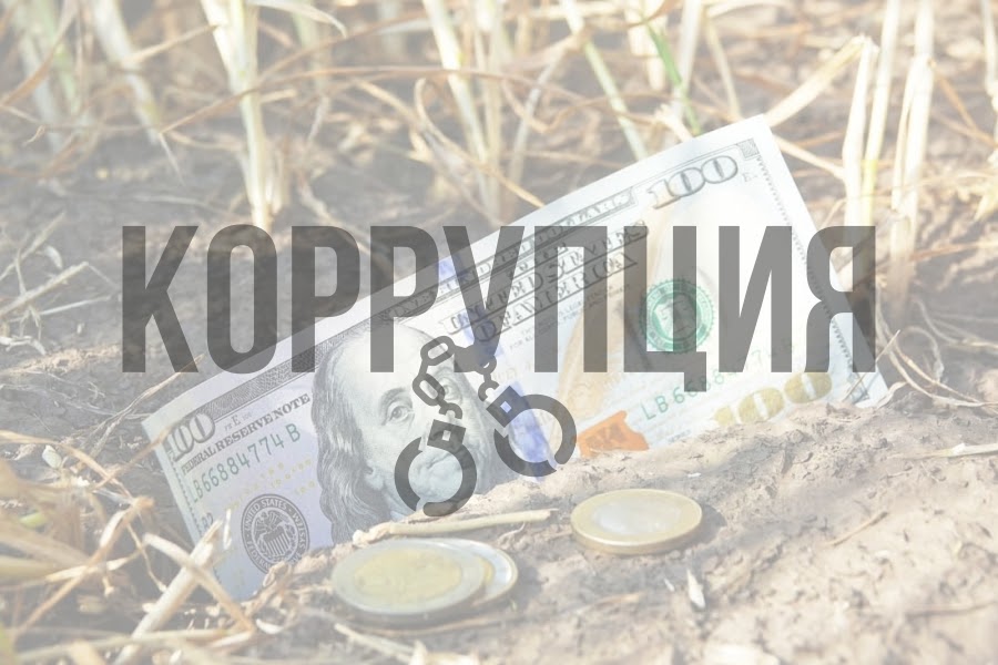В хищении аграрных субсидий подозревают 37 должностных лиц