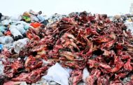 В Костанайской области производственные биологические отходы вывозятся на свалки вместо утилизации