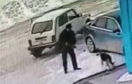 Аким стрелял в собак в Западно-Казахстанской области