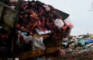 Акимат Костанайского района ограничился разъяснительной работой по факту вывоза биологических отходов на свалку