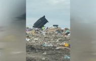 Был ли на свалке ТОО «Горизонт» неправомерный сброс органических отходов?