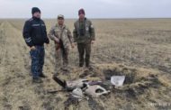 Двух краснокнижных журавлей подстрелили в Фёдоровском районе
