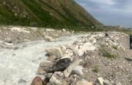 Потеряла равновесие: женщину унесло течением реки Талгар