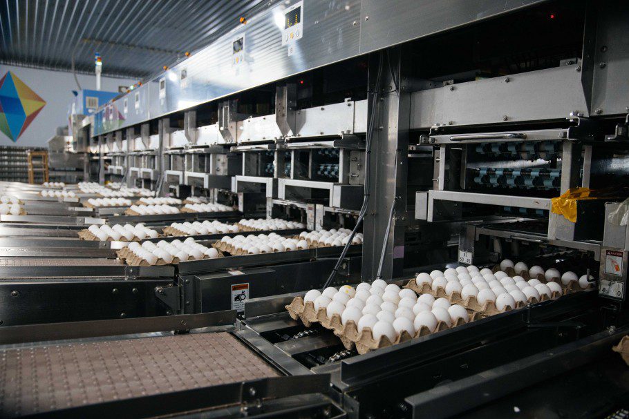 Те же яйца, только легче: Как регулирование цен на социально значимые товары губит целую отрасль