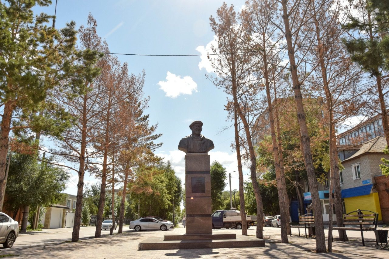 В Костанае на пересечении улиц Пушкина-Алтынсарина пожелтели многолетние сосны