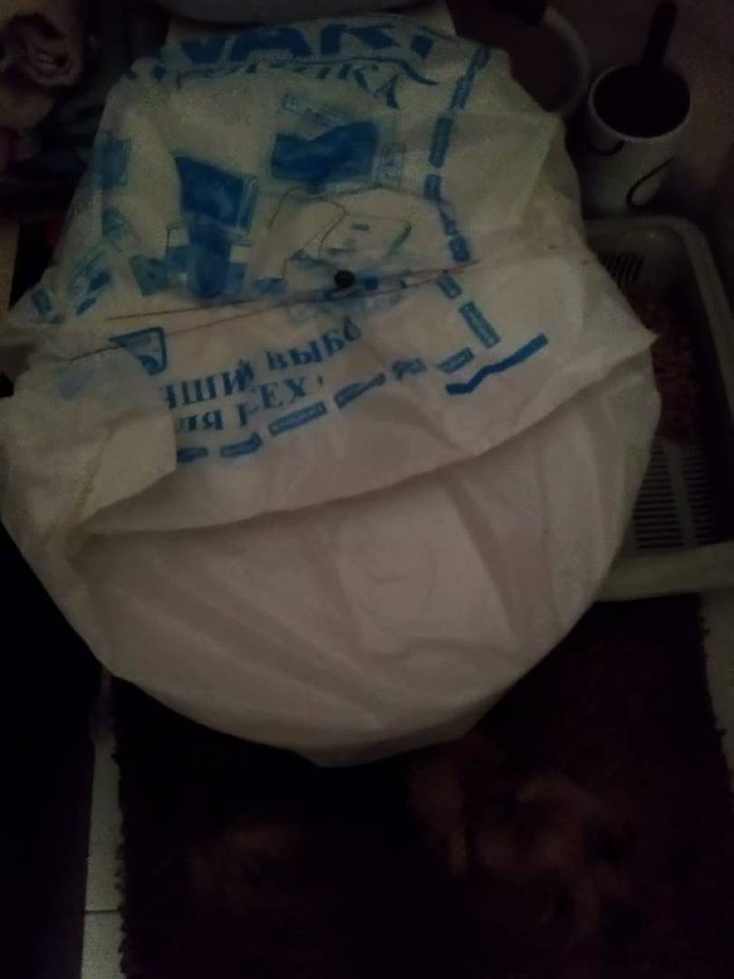 Работники Затобольской ТЭК запаковали унитаз должников пластиковыми пакетами