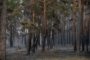 Пожарные, принимавшие участие в тушении огня в Аулиекольском районе, получат по 400 тысяч тенге — МЧС РК