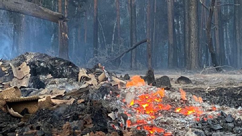 Генпрокуратура завела уголовные дела по факту пожаров в Костанайской области