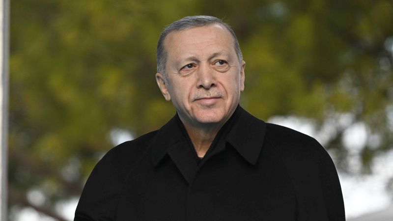 В Турции назначили дату президентских и парламентских выборов