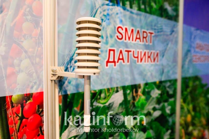 Как решить проблему потерь воды в сельском хозяйстве Казахстана