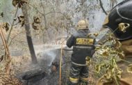 Минтруда проведет расследование гибели людей при тушении пожара в Абайской области