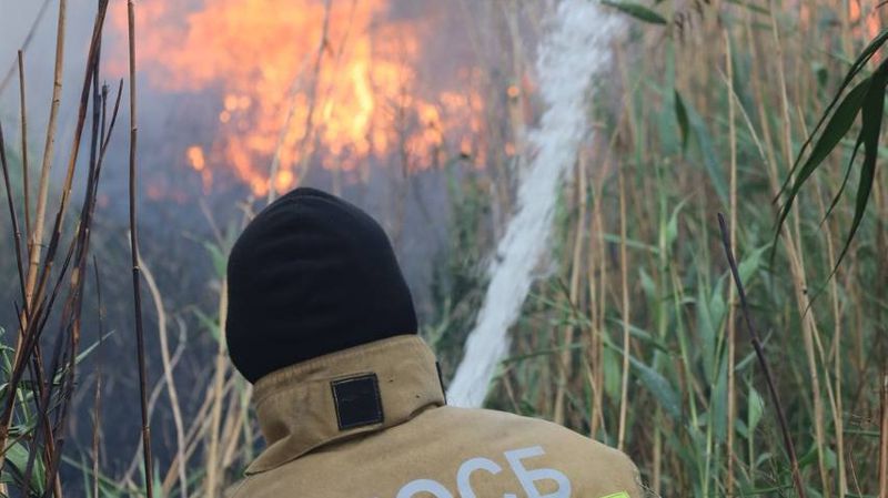 Площадь пожара близ Астаны увеличилась до 80 гектаров