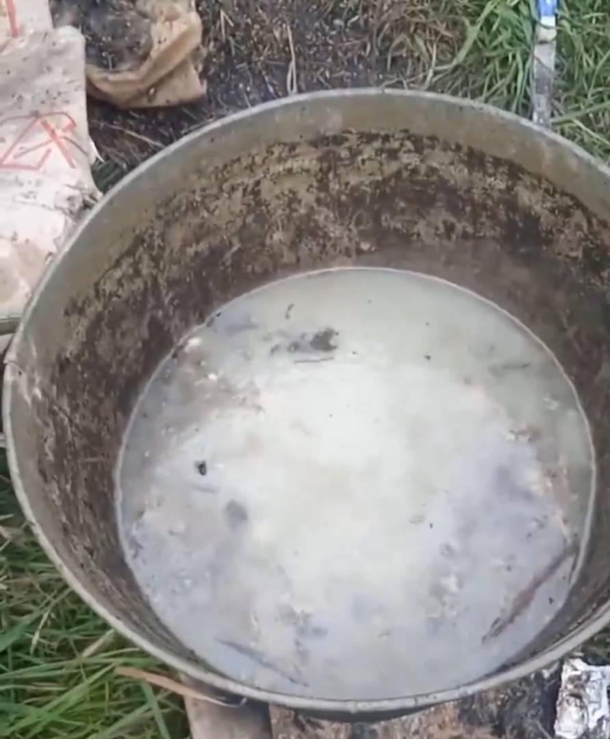 В Костанае мужчина сварил суп из соседской собаки 