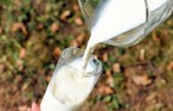 Костанайский детский сад и поставщик из Туркестана не сошлись в выборе молока
