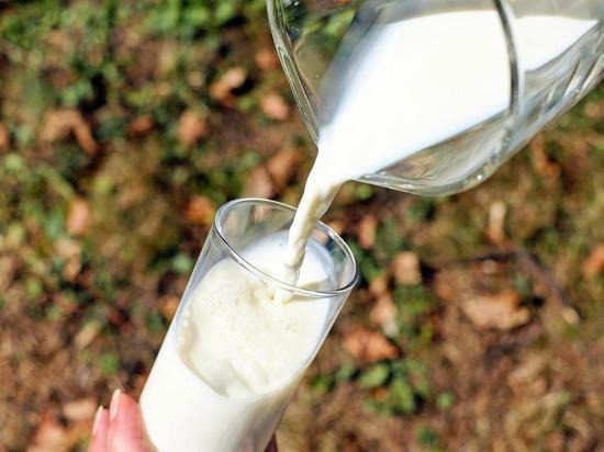 Костанайский детский сад и поставщик из Туркестана не сошлись в выборе молока