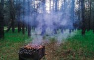 На базах отдыха Костанайской области, прилегающих к лесу, больше нельзя разжигать мангалы