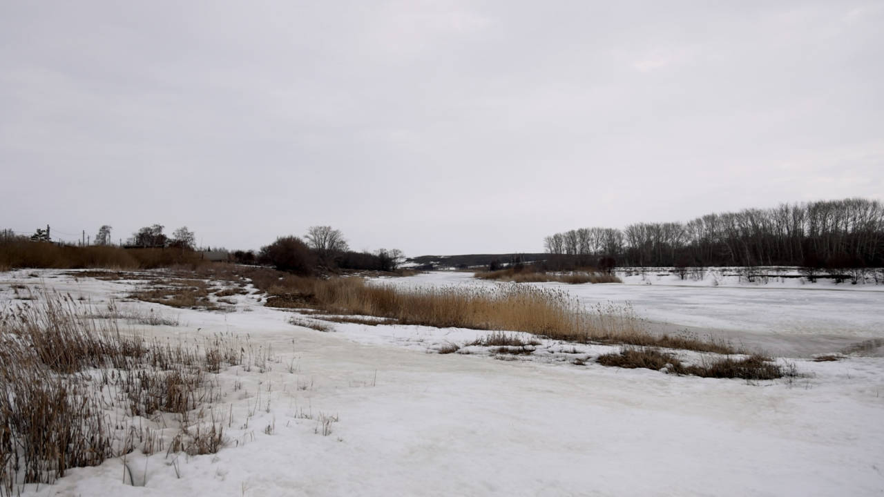 «Пахнет навозом и тухлятиной»: кто загрязняет реку Тогузак в Карабалыкском районе?