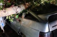 Жительница Костаная взыскала с отдела ЖКХ более 1,3 млн тенге за повреждения своей машины