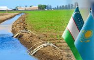 Узбекистан выделит Казахстану 922 млн кубометров воды в поливной сезон