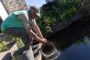 В костанайском садовом обществе «Мичуринец» с начала мая нет воды