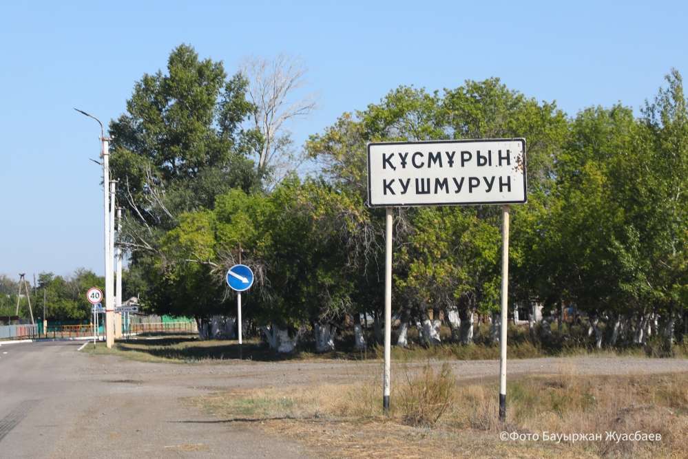 Осужден водитель, который в пьяном виде сбил двух пешеходов в Кушмуруне