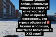 В Костанае от отравления продолжают в мучениях умирать собаки