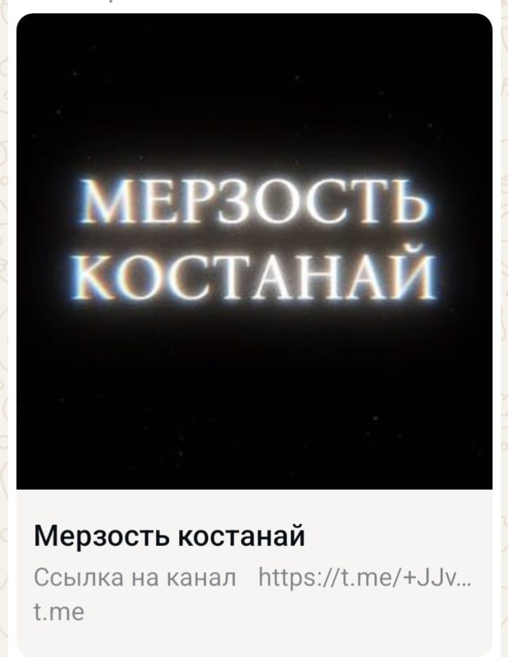 «Мерзость Костанай»: родители школьников и студентов бьют тревогу из-за анонимного телеграм-канала