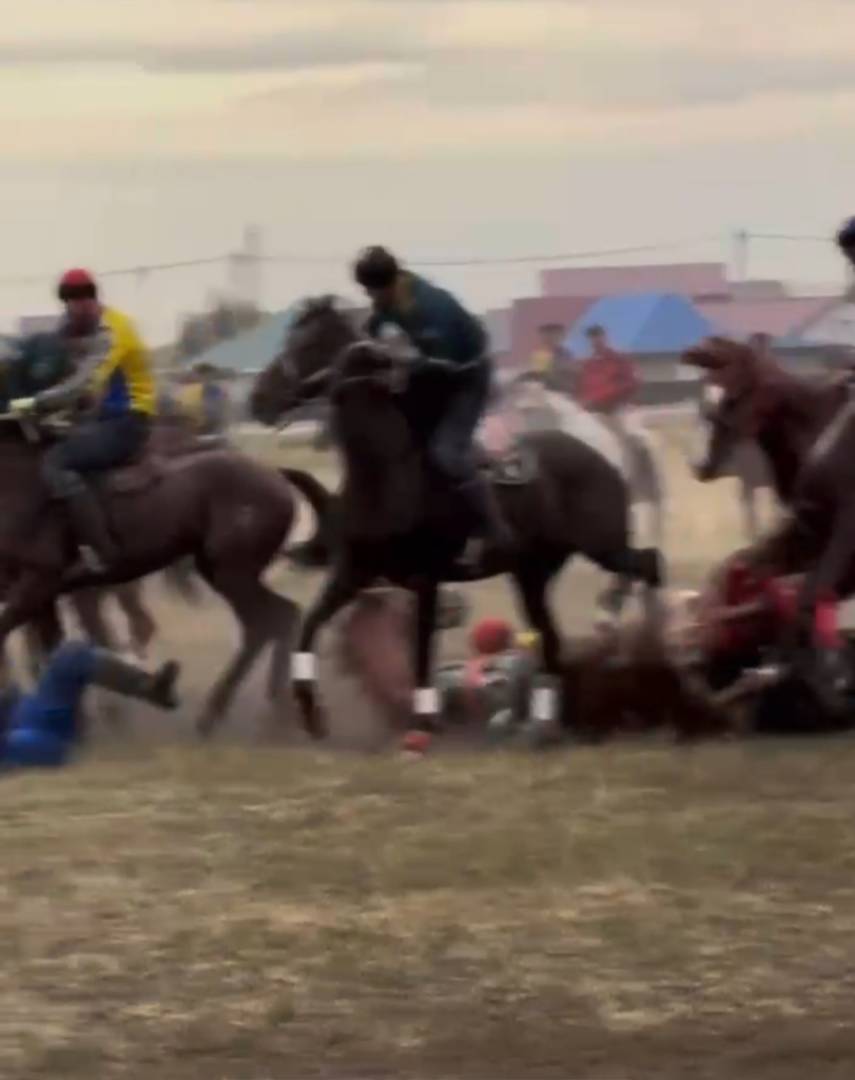 В Заречном во время кокпара лошадь придавила всадника