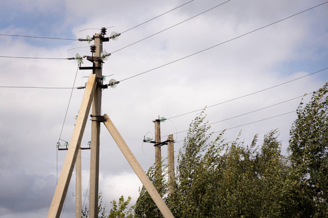 «Мы не отказывались платить – требовали смету»: позиция предпринимателей в конфликте с ГП «Кроликовод»