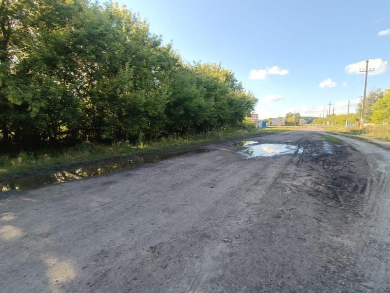 Жители села Островное Сарыкольского района просят власти обратить внимание на их проблемы