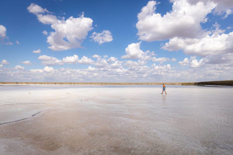 Лесбилердің суреттері