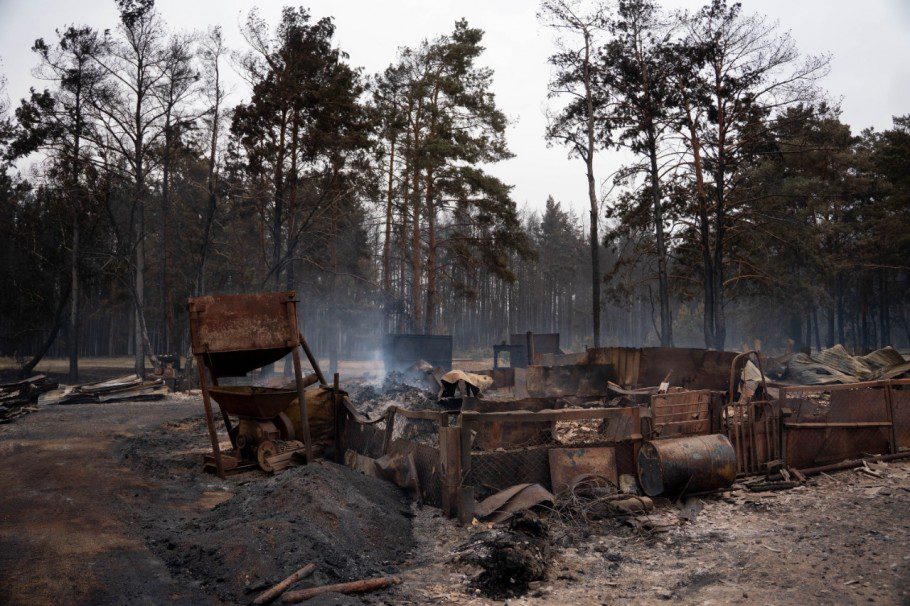«Бөгденің қайғысынан пайда табу»: Қазақстан ормандарындағы өрттен кейін не қалады?