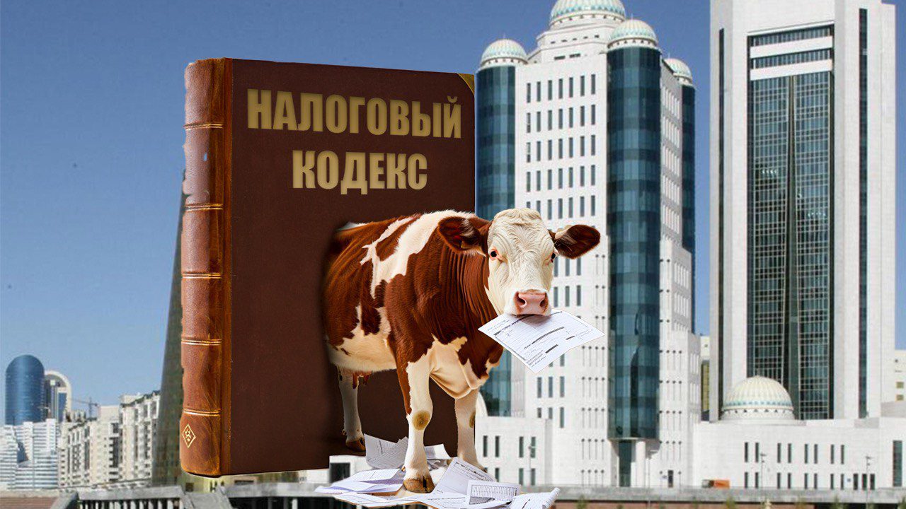 Российский сайт как надежный источник? — аргументы обвинения по делу Beef Export Group вызывают вопросы